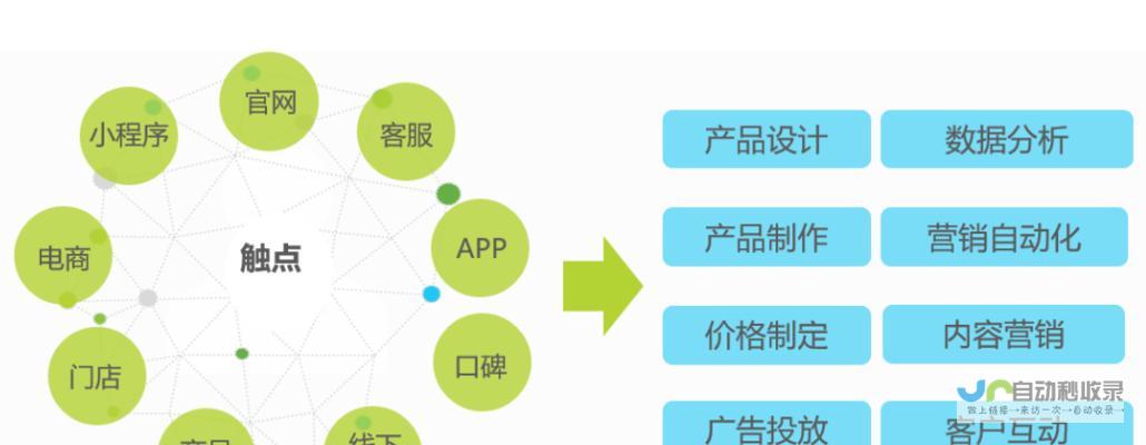 提升网络效益，优化用户体验：专业网站建设管理策略
